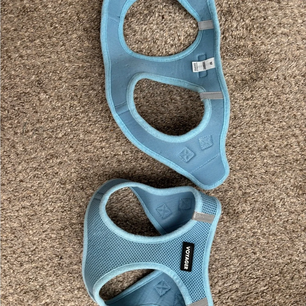 Baby Blue Breathable Mesh Step In Dog Harnesses, 2 available size M - Picture 8 of 12